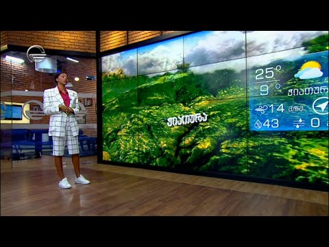 ამინდის პროგნოზი - 29 აპრილი