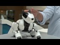 First robotics and innovation store in Dubai