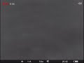 Кабаны на полях съёмка на Pulsar Helion XQ38F