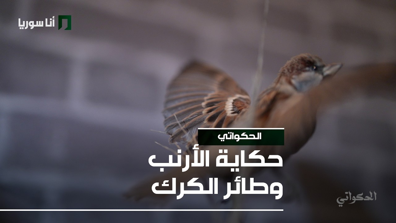 الحكواتي - الحلقة 12 - حكاية الأرنب وطائر الكرك