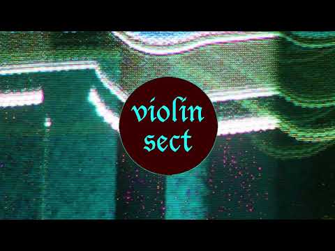 Violin Sect – Vile Insect – Vinyl (12