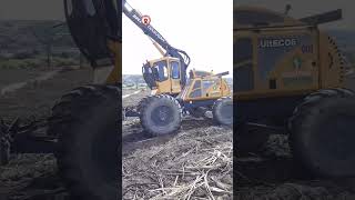 Download Lagu NOVA BELL MP3