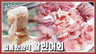 [한국인의 밥상] 활민어회 vs 뼈를 푹 고아 만든 민어죽 여름철 일품 보양식, 당신의 선택은 | “뜨거운 날의 한 끼, 복달임 밥상” (KBS 20220804 방송)