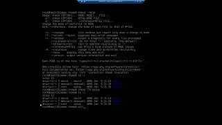 File and folder permissions in Ubuntu Server