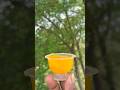 Sajnep Fun TV | Village Fun Vlog 🔥#survival #useful #ideas #smart #camping