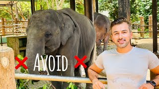 Sri Lanka Safari | Udawalawe National Park 👍🏼 and Pinnawala 👎🏼