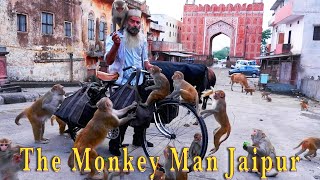 The Monkey Man Jaipur Rajasthan