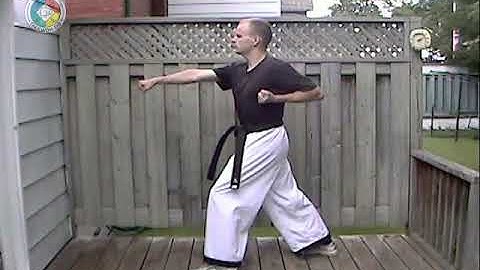 Taekwondo: Hapkido: Foundations: reverse middle punch, side view