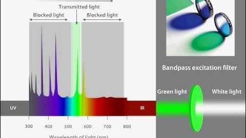 Fluorescence Filters and Light Sources.avi