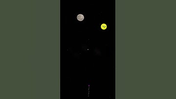 Testing Every Firework in Fireworks Mania #gaming #fireworks #shorts #20