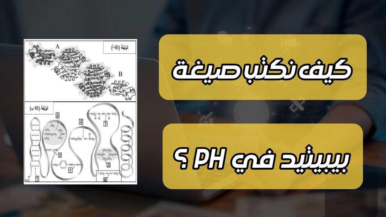 التمرين 14 : العلاقة بين بنية البروتين و وظيفته 🧩 .