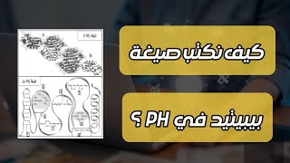 التمرين 14 : العلاقة بين بنية البروتين و وظيفته 🧩 .