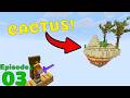 THE SEARCH FOR CACTUS! | Can I make $1,000,000 in SKYBLOCK? Ep. 3