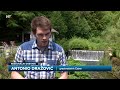 Stanovnici Čabra godinama čekaju pitku vodu