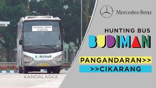 Kumpulan Hunting Bus Budiman Pangandaran - Cikarang