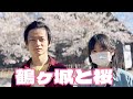 【鶴ヶ城】お花見に行って来ました#鶴ヶ城 #自閉症 #福島県