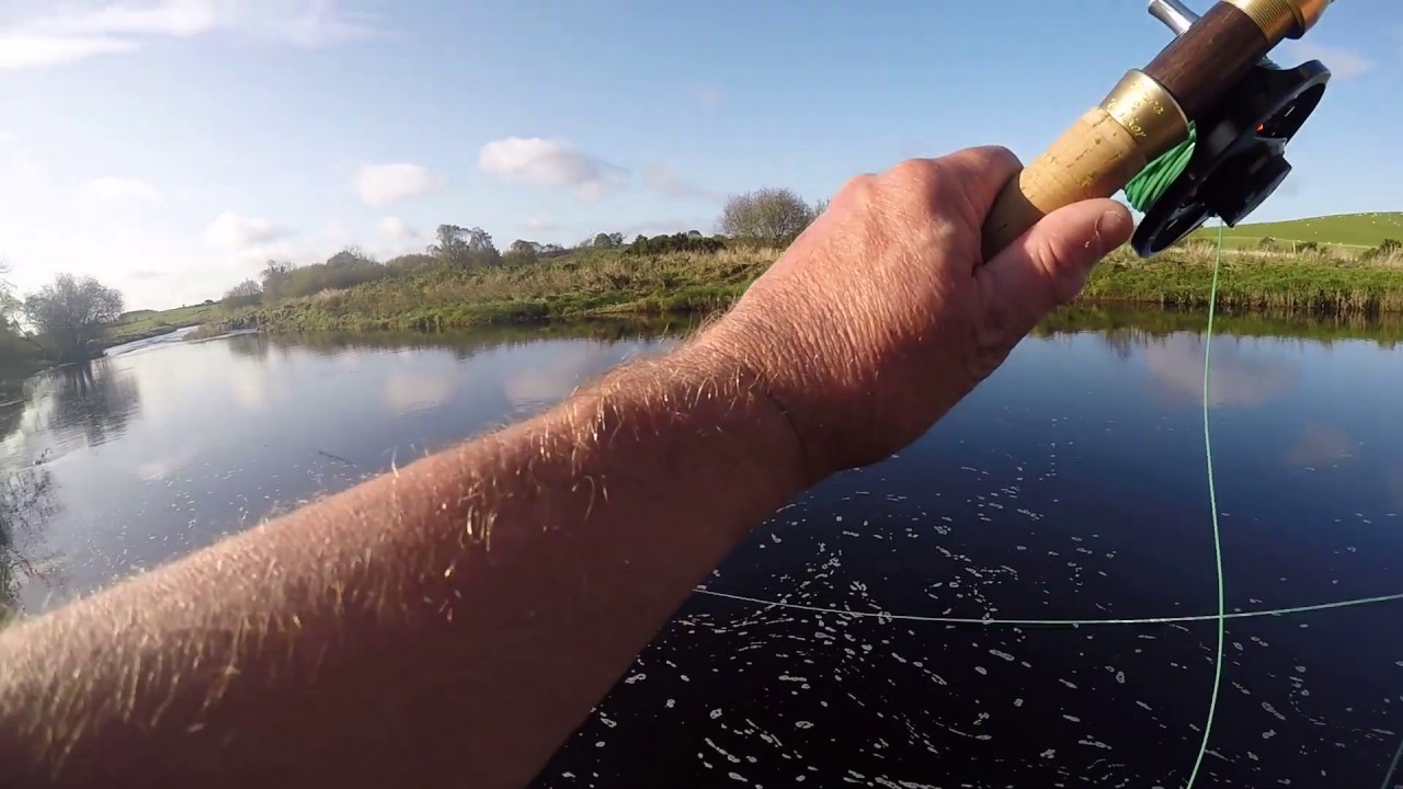 A Fish From Ash Trees MP Beat River Bladnoch Oct 2019.