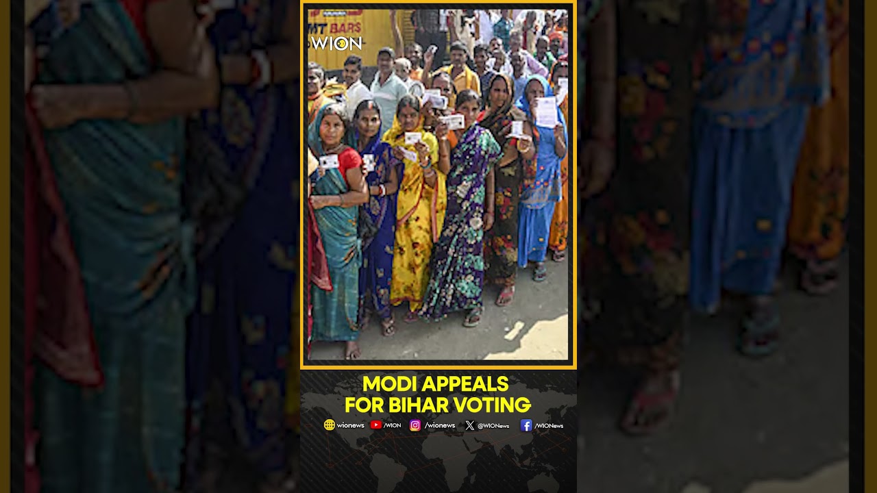 Bihar Elections: Modi Urges Bihar Voters, Especially First-Timers, To Participate | WION SHORTS