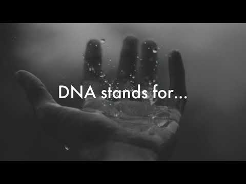 What Does Dna Stand For | Dna Meaning