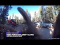 WATCH: Curious bear rips down security cameras at Colorado mountain home
