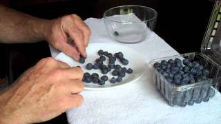 HOW TO SORT BLUEBERRIES