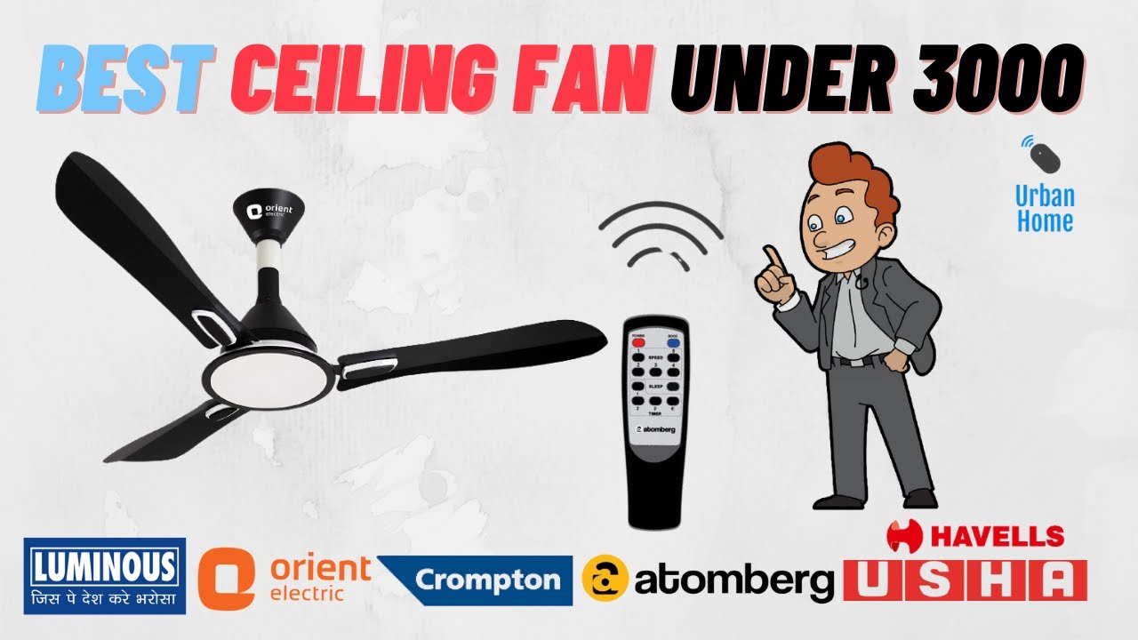 Top 10 Best Ceiling Fan Under 3000 Best Ceiling Fan 2021 Ceiling