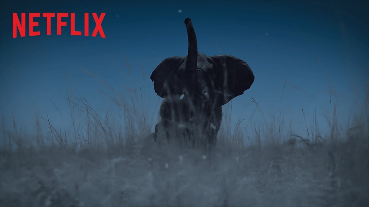 Resultado de imagen para la tierra de noche netflix