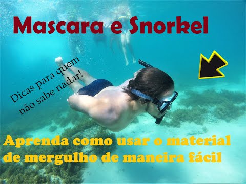 Vídeo: O Que é Um Snorkel E Como Usá-lo