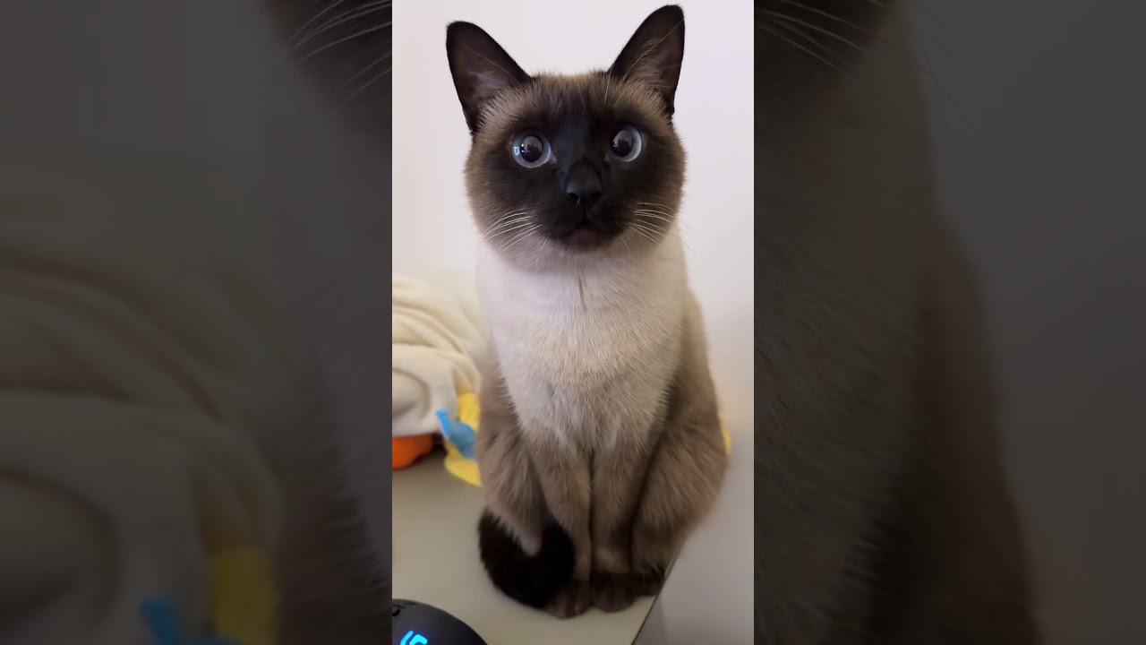 Look at my black mask. 