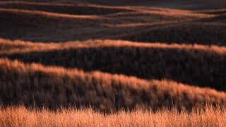 Basic Operations - Back 2 soul
