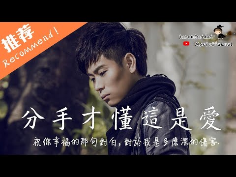 雨宗林 - 分手才懂這是愛「 祝你幸福 對於我是多麼深的傷害」♪Karendaidai♪