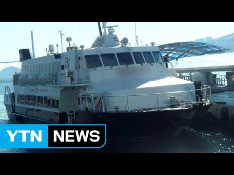 여객선, 고래 추정 물체와 충돌...4명 부상 / YTN