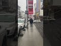 Hey maşallah başladı