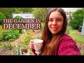 December Cottage Garden and Flower Farm Tour Australia 🌸🌿 Vlogmas Day 23