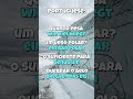 Wie viel wiegt ein Eisbär DEU-PRT #shorts  #sprachenlernen  #weisheit