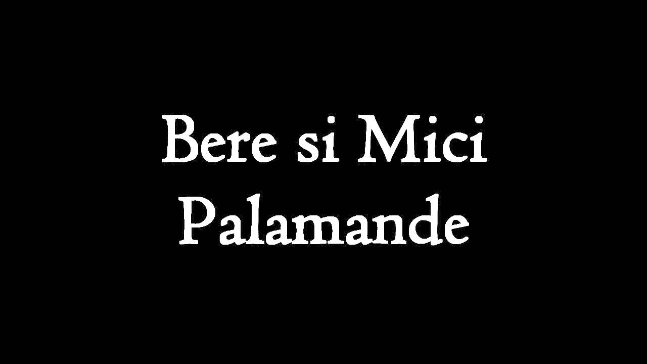 Bere si Mici - Palamande