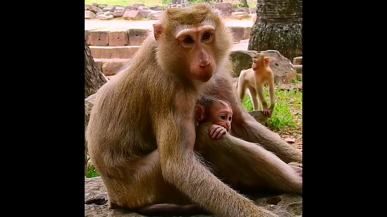 Don't go Mummy, Please come back to me!