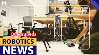 Quadruped Robot Dog Gives a High Five Wealth