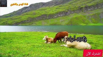 ما تيسر من سورة طه 🥰 بصوت يقشعر له القلوب ❤️