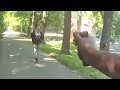 Bodycam Shows LMPD Officer Shooting Suspect After He brandishes a Gun