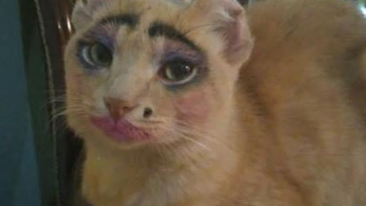 Fuiste Criado Como Mujer