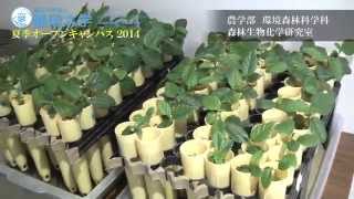 森林生物化学研究室 環境森林科学科 農学部 夏季オープンキャンパス 2014 - 静岡大学