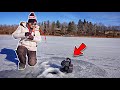 We Drove 8 HOURS For FIRST ICE FISHING!!! (Surprising New PB)
