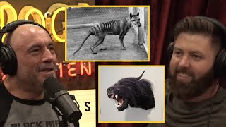 Joe Rogan Hears the Story of the ''Ozark Howler''