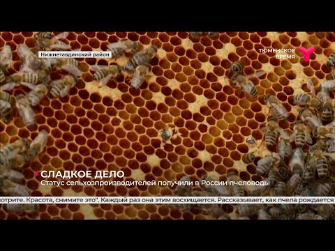 Статус сельхозпроизводителей получили в России пчеловоды