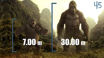 ¿Cuánto mide King Kong?