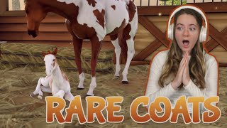 BREEDING BEAUTIFUL RARE HORSES AND COATS - Rival Stars Horse Racing | Pinehaven screenshot 2