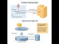 SQL Injection How SP_EXECUTE Prevents Attacks