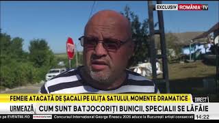 Momente De Panică La Vaslui O Femeie A Ajuns La Spital După Ce A Fost Mușcată De Un Șacal