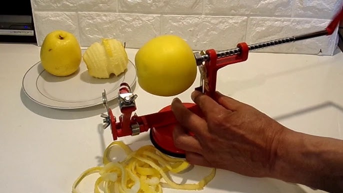 Zesteur Canneleur eplucheuse zeste fruits machine à éplucher agrumes et  fruits 